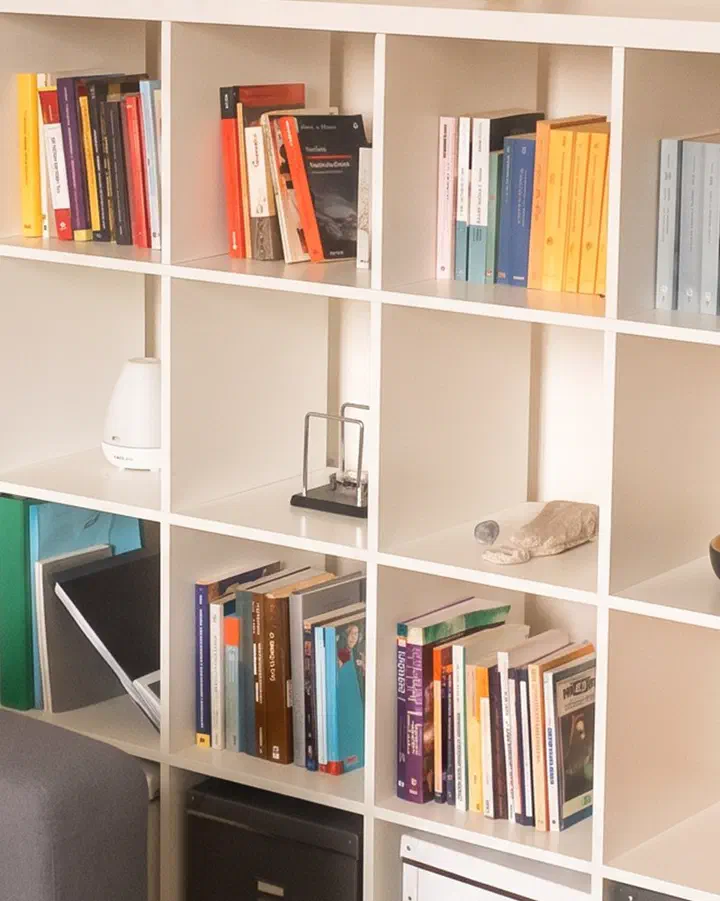 Dettaglio della libreria dello studio